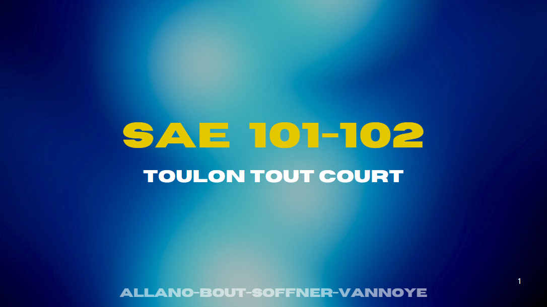 Stratégie Communication pour Toulon Tout Court